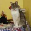 Отзыв от Татьяна Бабушкина